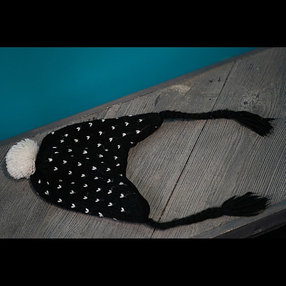 Winter Hat